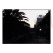 Watching the Sunset (Front Horizontal)