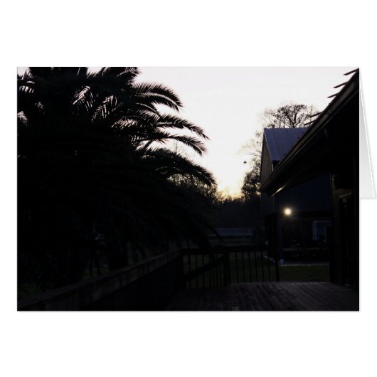 Watching the Sunset (Front Horizontal)