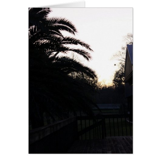 Watching the Sunset Cards (Front)