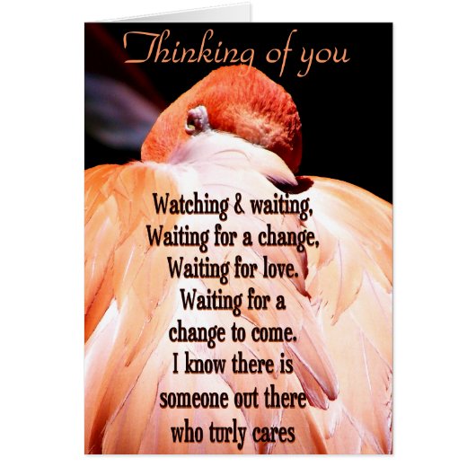Watching & Waiting_ Cards (Front)