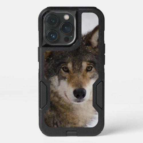 Watching Wolf Otterbox Case