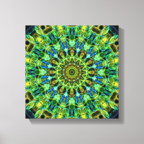 Watching You kaleidoscope Canvas Print