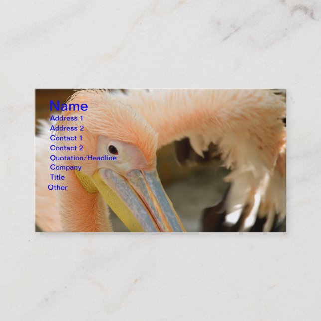 Watching You Pelican Business Card (Front)