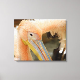 Watching You Pelican Canvas Print