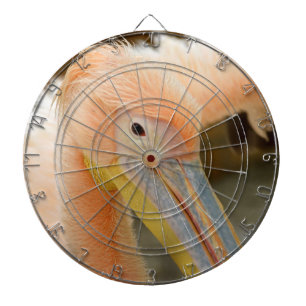 Watching You Pelican Dart Board