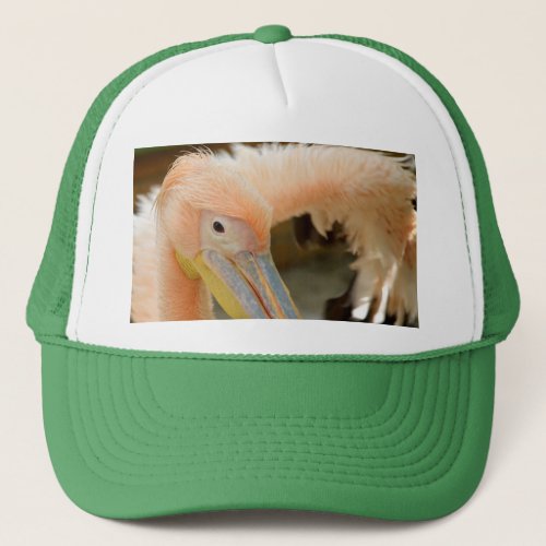 Watching You Pelican Hat