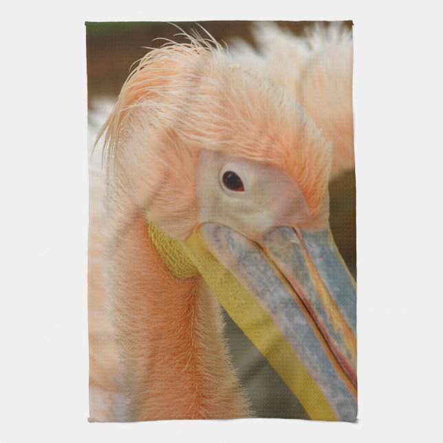 Watching You Pelican Kitchen Towel (Vertical)