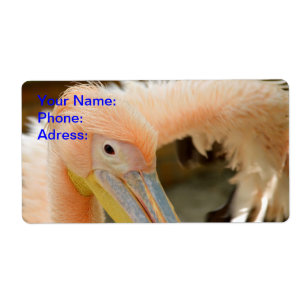 Watching You Pelican Label