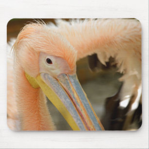 Watching You Pelican Mousepad