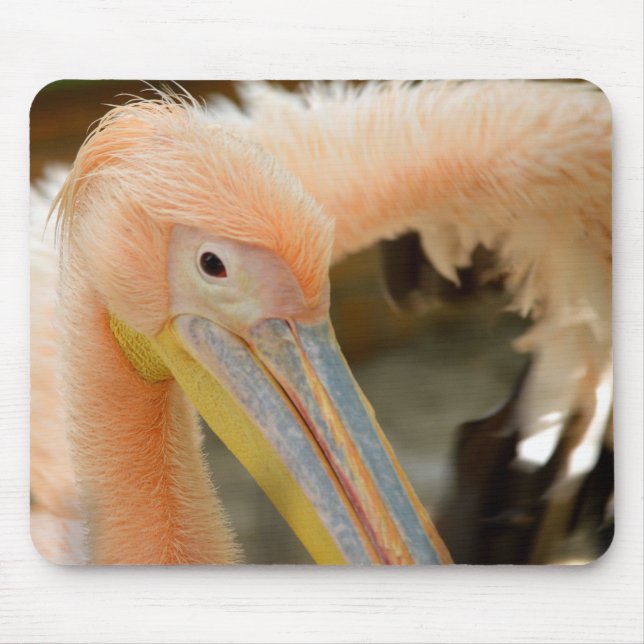 Watching You Pelican Mousepad (Front)