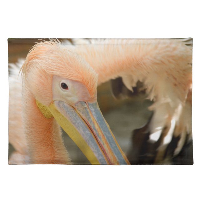 Watching You Pelican Placemate Placemat (Front)