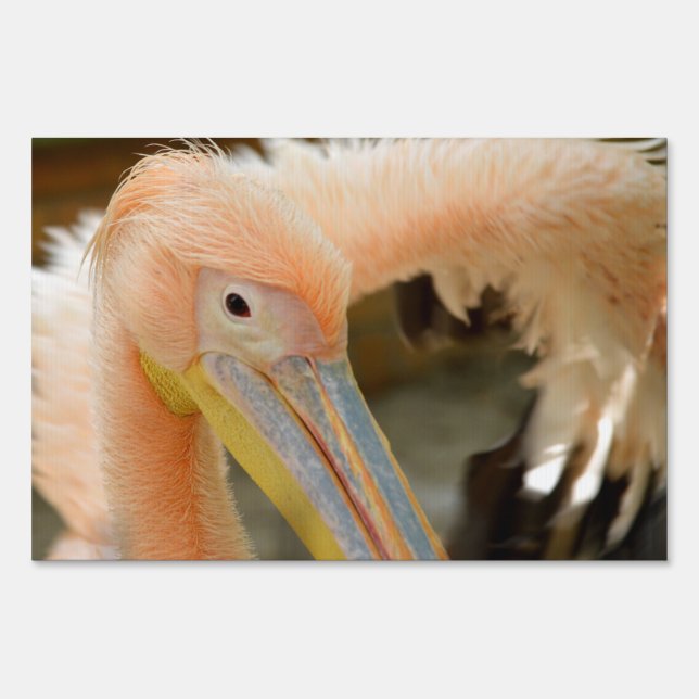 Watching You Pelican Yard Sign (Front)