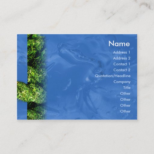 Customizable Water and Grass - Chubby Business Card Templates