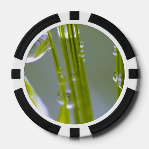 Water and grass poker chips