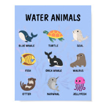 Water Animals Poster