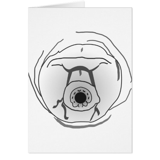 Water Bear Tardigrade Face Cards (Front)