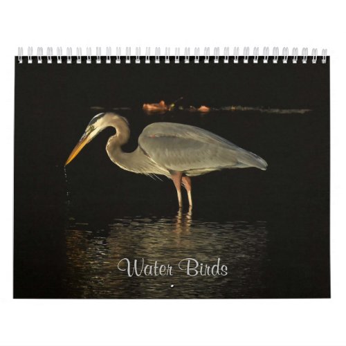 Water Birds 2 Calendar