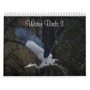 Water Birds 3 Two Page MediumCalendar, White Calendar