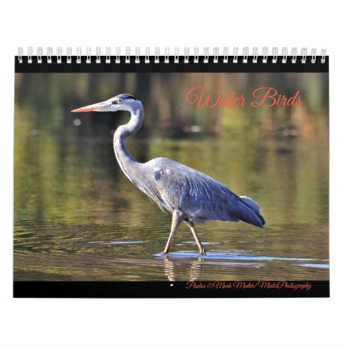 Water Birds  Calendar