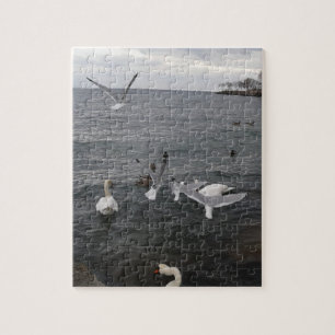Water Birds on Lake Ontario Jigsaw Puzzle