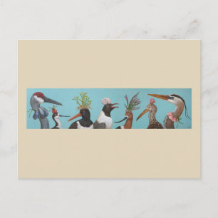 Water Birds postcard