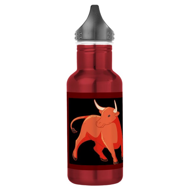 Water Bottle (18 oz) -Stainless Steel Water Bottle (Left)