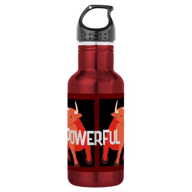 Water Bottle (18 oz) -Stainless Steel Water Bottle (Front)