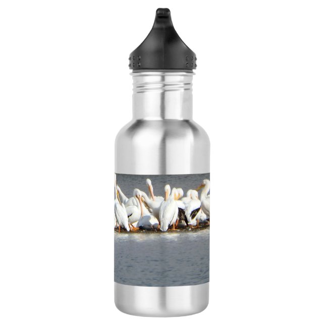 Water Bottle,Flock of Pelicans Stainless Steel Water Bottle (Right)