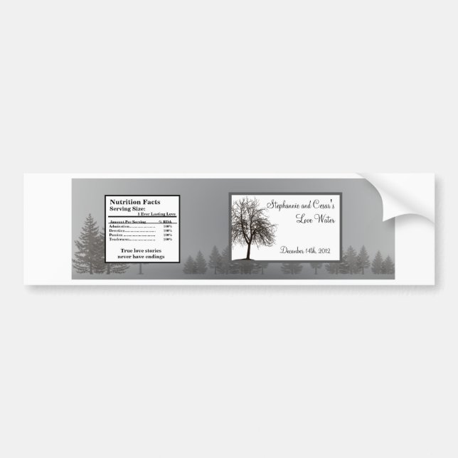 Water Bottle Label Gray Winter Trees Snow Bare (Front)