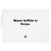 WATER BUFFALO IN KENYA CARDS (Back Horizontal)
