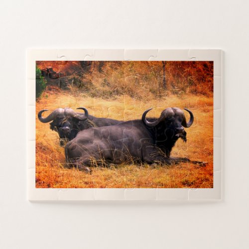 Water buffalo jigsaw puzzle