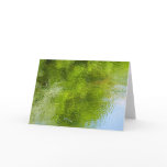 Water Bugs at Laurel Hill State Park Card