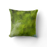 Water Bugs at Laurel Hill State Park Throw Pillow