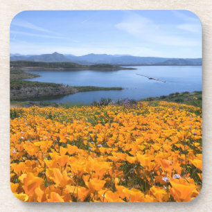 Water California Lake With Golden Poppies Beverage Coaster