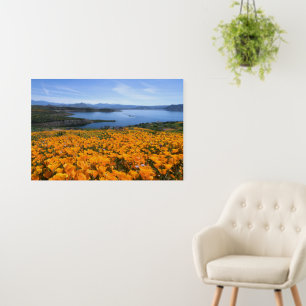 Water California Lake With Golden Poppies Foam Board