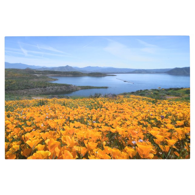Water | California Lake With Golden Poppies Metal Print (Front)