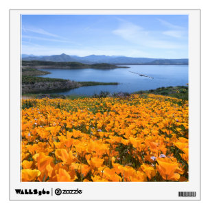 Water   California Lake With Golden Poppies Wall Decal