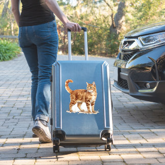 water color orange cat sticker