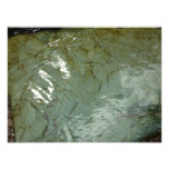 Water-Covered Rock Slab Nature Photo