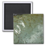 Water-Covered Rock Slab Nature Photo Magnet