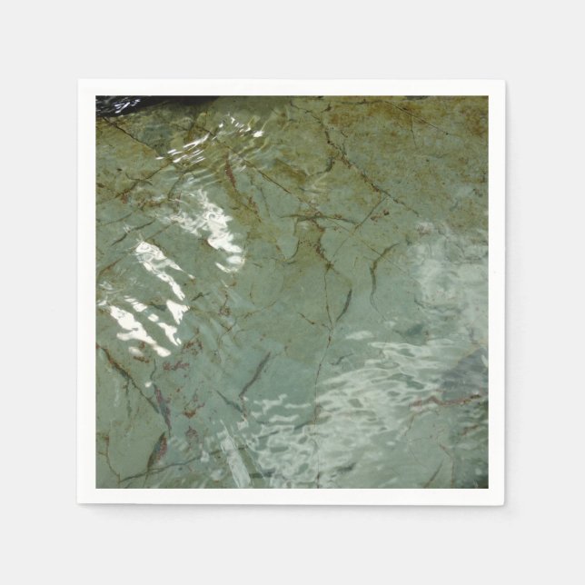 Water-Covered Rock Slab Nature Photo Napkins (Front)