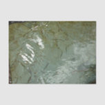 Water-Covered Rock Slab Nature Photo Tissue Paper