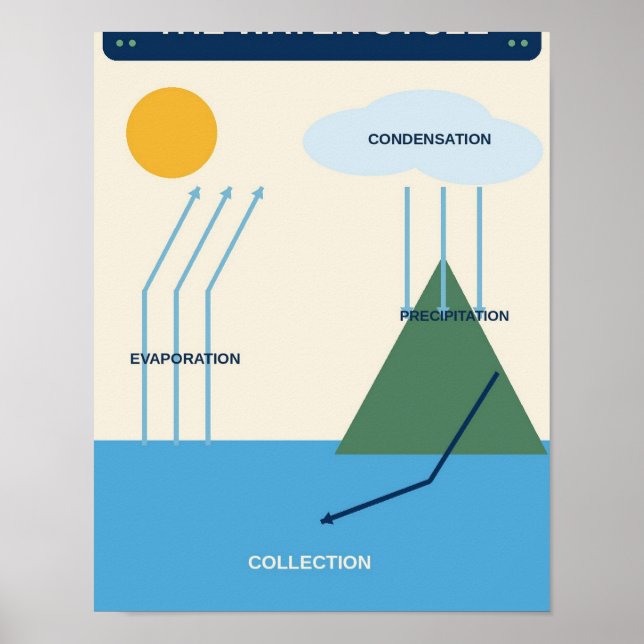 Water Cycle Science Classroom Chart (Front)