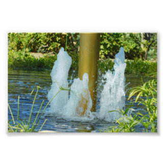 Water Dance Photo Print
