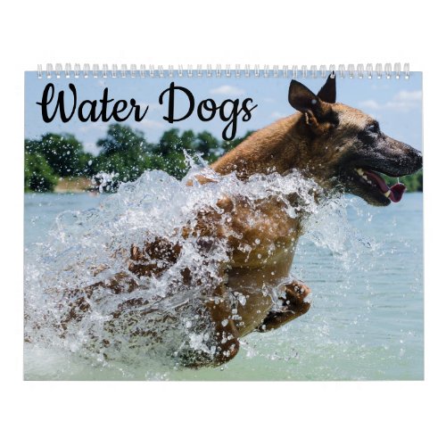 Water Dogs Calendar