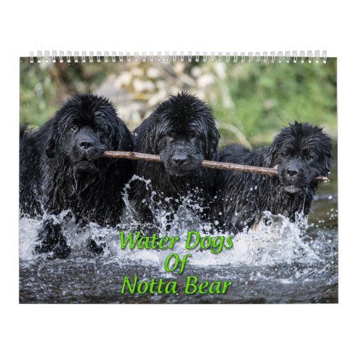 Water Dogs Of Notta Bear Calendar