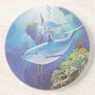Water Dolphin Coaster