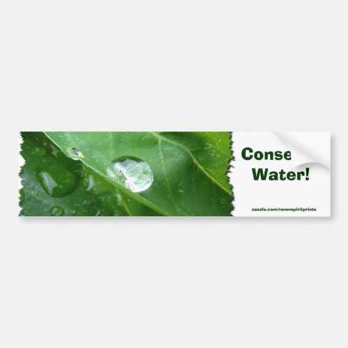 Water Drip on Leaf Water Conservation Design Bumper Sticker