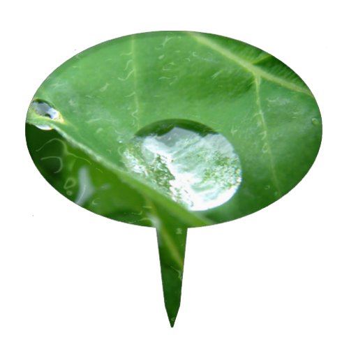 Water Drip on Leaf Water Conservation Design Cake Topper