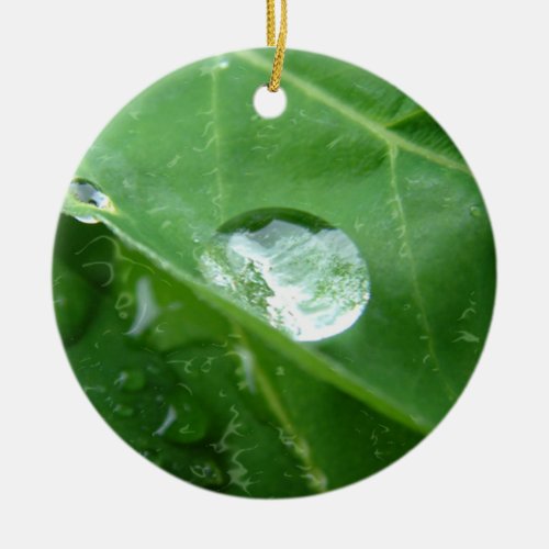 Water Drip on Leaf Water Conservation Design Ceramic Ornament